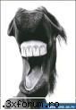 Clubu neconsolatelor:))) - Baaaaaaaaaaaaaaaaaaaaaah,nu neconsolate - crazy muppetzi