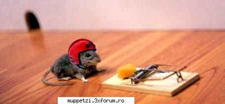 glume glumitze :)) acum banana,in amintirea vreumrilor soarec