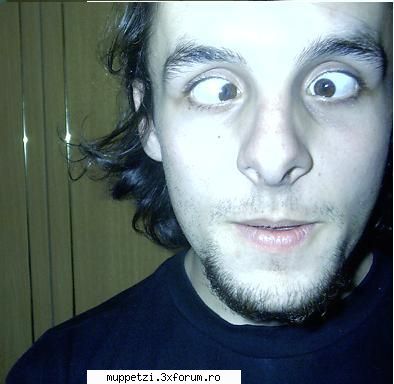 Glume si glumitze :)) - cica tipu e din tm:)) - crazy muppetzi