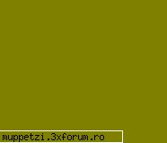 Glume si glumitze :)) - blak_ciufy - crazy muppetzi