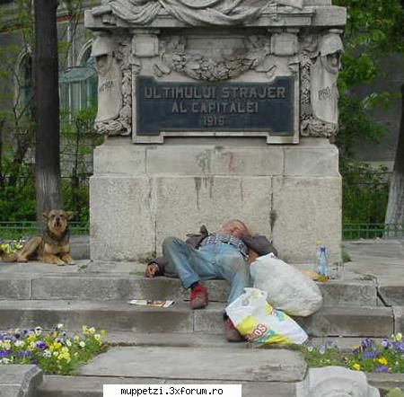 Glume si glumitze :)) - Bucuresti..Bucuresti... mi se pare mie sau iar la - crazy muppetzi