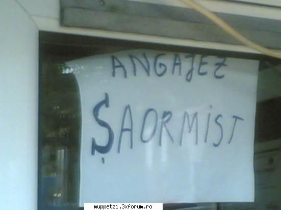 Glume si glumitze :)) - ANUNT IMPORTANT ..pt cei care is cauta ceva de - crazy muppetzi