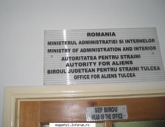 Glume si glumitze :)) - Pt care vor sa fi etraducatori - crazy muppetzi