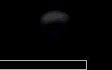diverse - blak_ciufy - crazy muppetzi