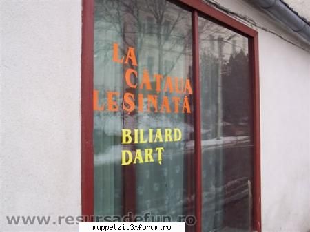 vara lui 2005:)planuri d vacanta:) - si am gasit un loc sexy unde sa ne petrecem - crazy muppetzi