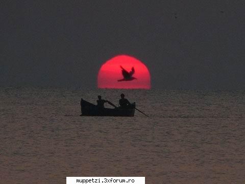 vrem marar! cat mai mult marar!!! intreb dak aia din barca aveau mararu si-l revigoreze lumina